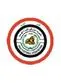 Iraq Stars League logo