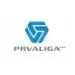 Slovenia 1.Liga logo