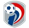 Primera Division de Paraguay logo
