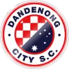 Dandenong City SC