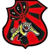 Flamengo de Arcoverde
