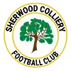 Sherwood Colliery