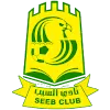 Al-Seeb