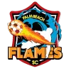 Palm Beach Flames