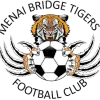 Menai Bridge Tigers