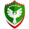 Amedspor