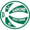 Gaucho U20