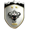 Yushu Yak