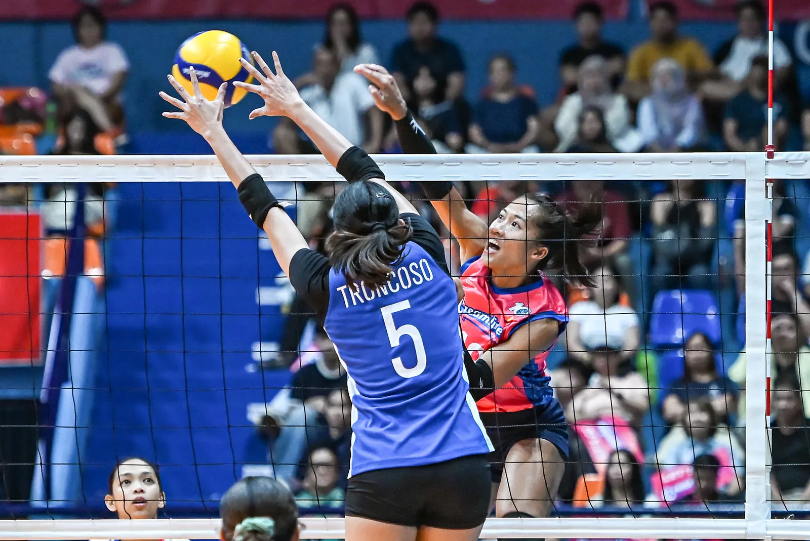 Creamline PVL standings level with Nxled after ZUS Coffee win